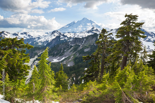 Mt Baker © Galyna Andrushko