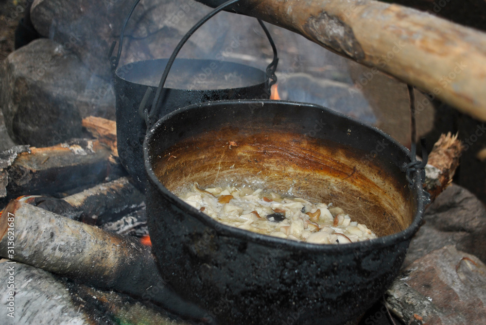 Mushrooms are cooked in cauldrons, in nature evening tourist dinner. Mushrooms are cooked in cauldrons, in nature evening tourist dinner.