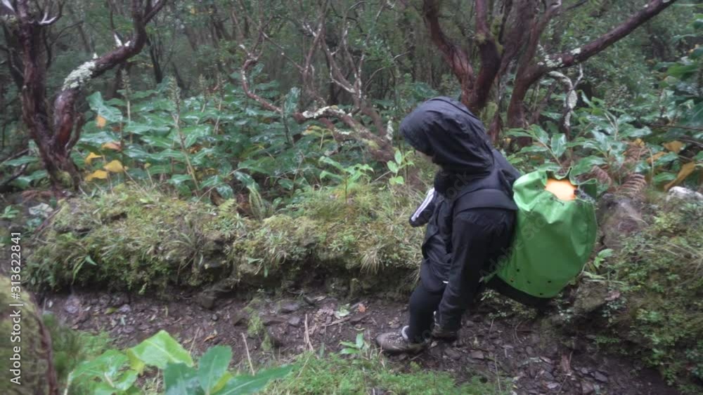 Young woman hiking through wet rain forest in the Azores Young woman hiking through wet rain forest in the Azores
