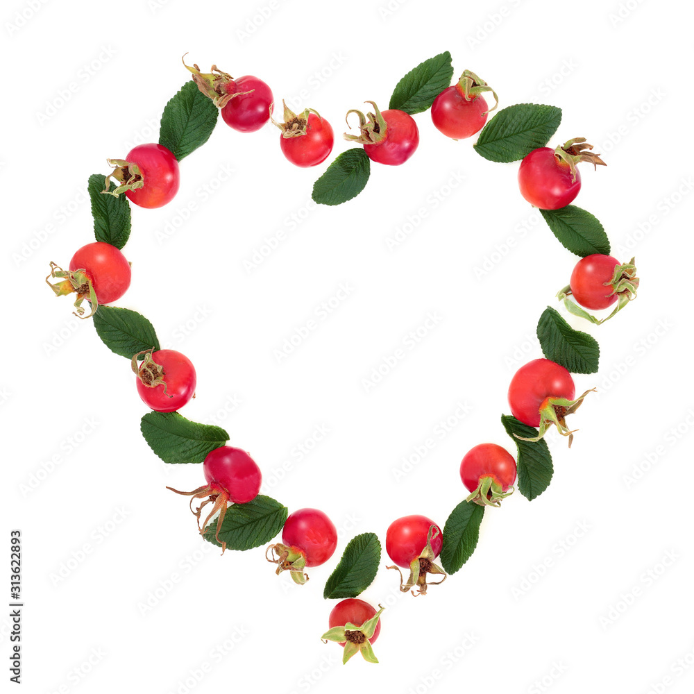Abstract heart shaped rosehip wreath with red berry fruit & leaves. Very high in vitamin c and antioxidants on white background with copy space. Flat lay. Abstract heart shaped rosehip wreath with red berry fruit & leaves. Very high in vitamin c and antioxidants on white background with copy space. Flat lay.