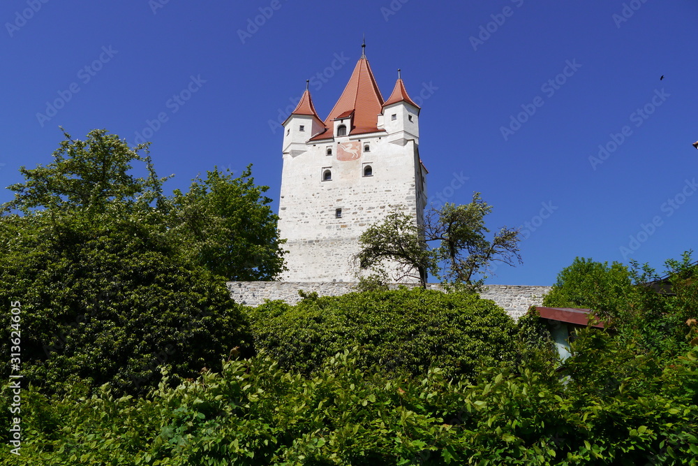 Burgturm Burg in Haag in Oberbayern