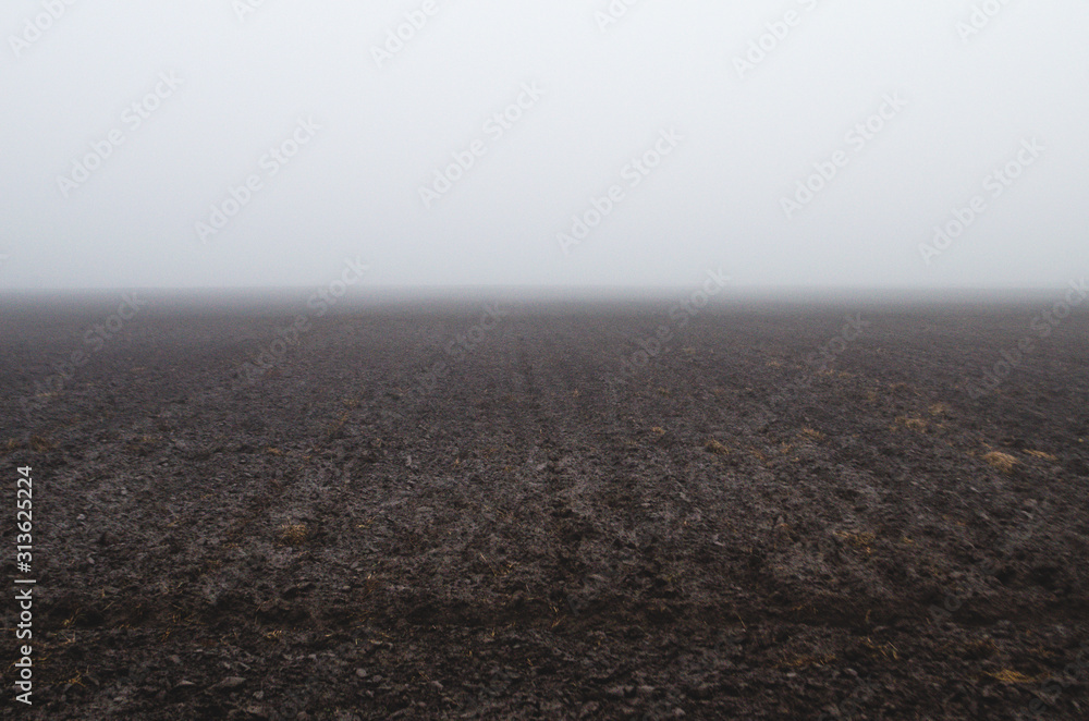 Fototapeta premium Arable land in the fog. Farmland in the winter season without snow.