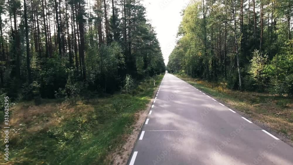 Road Forest Road Forest