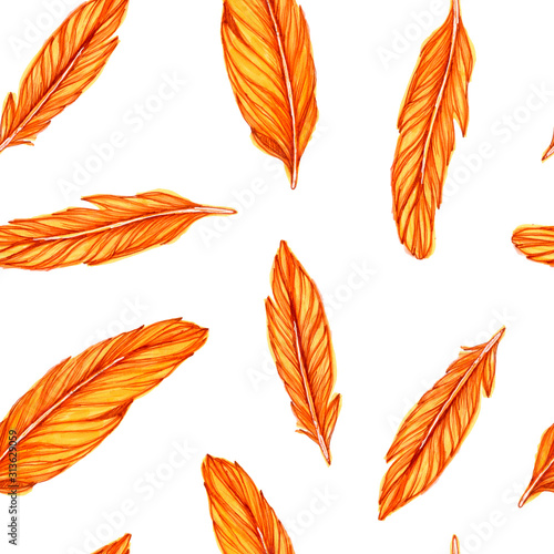 Set of orange feathers on an isolated white background. Feathers are drawn by hand with markers and inserts. Bright and summer illustration