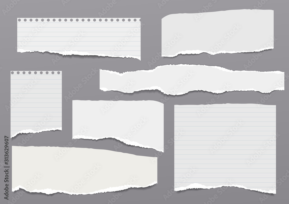 Set of torn white, lined note, notebook paper strips and pieces with soft shadow stuck on dark grey background. Vector illustration