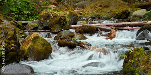 Obraz na plátně Small Tanner Creek flows among stones near Wahclella Falls in the Columbia River Gorge near Portland