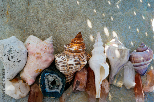 Natural object still life photography.