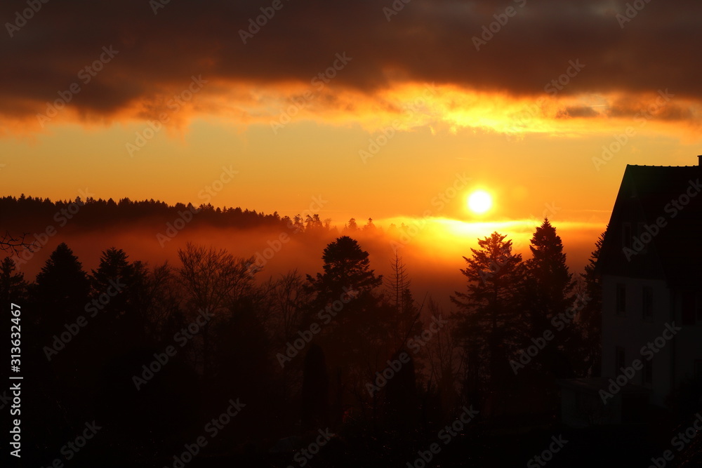 Black Forest Sunrise