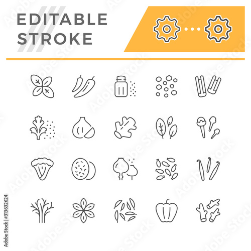 Set line icons of seasoning