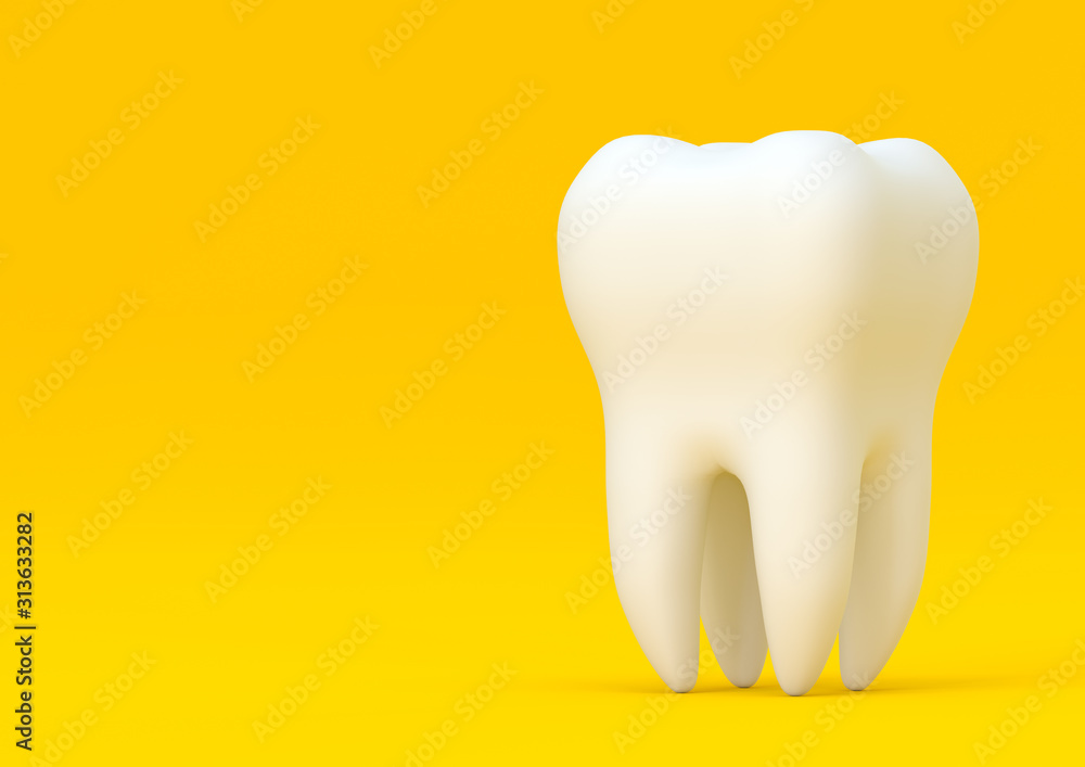 Dental model of premolar tooth on yellow background. Concept of dental examination teeth, dental health and hygiene. 3d rendering illustration Dental model of premolar tooth on yellow background. Concept of dental examination teeth, dental health and hygiene. 3d rendering illustration