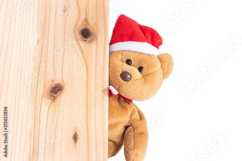 Santa Claus Teddy Bear