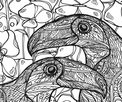 Coloring page illustration. Doodle graphic design with tropical birds. Two toucans on a flowers background.