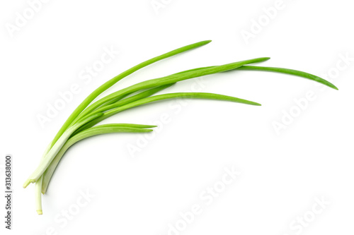 Fresh green onions isolated on white background
