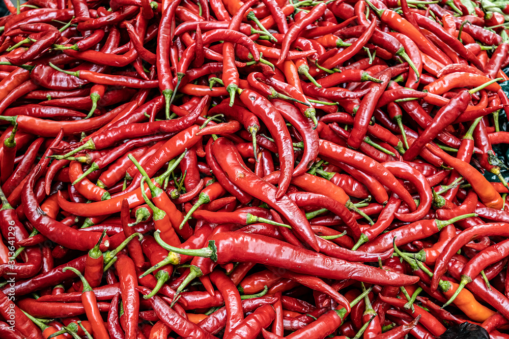 Red Chilli Background. India Ingredient for Sale in Market Red Chilli Background. India Ingredient for Sale in Market