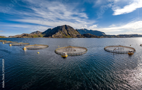 Photography Farm salmon fishing in Norway
