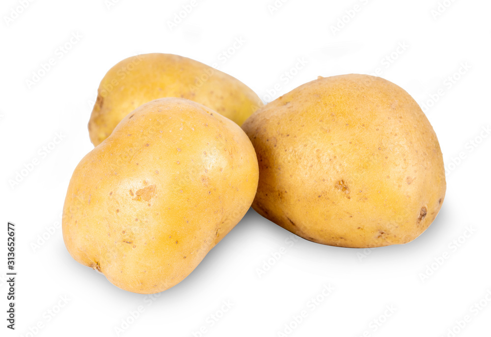 round potato isolated on white background round potato isolated on white background