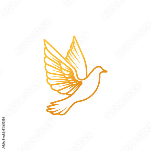 Obraz na płótnie Dove logo icon Vector