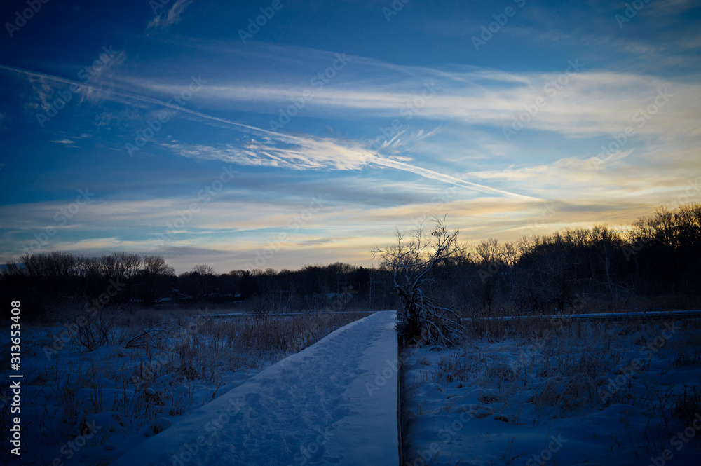 Obraz premium Winter day in the wetland