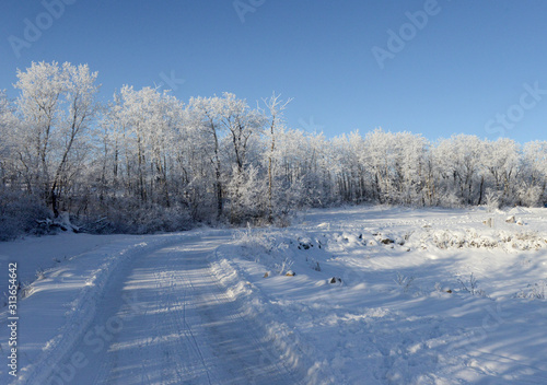 Canadian winter © jpiks1