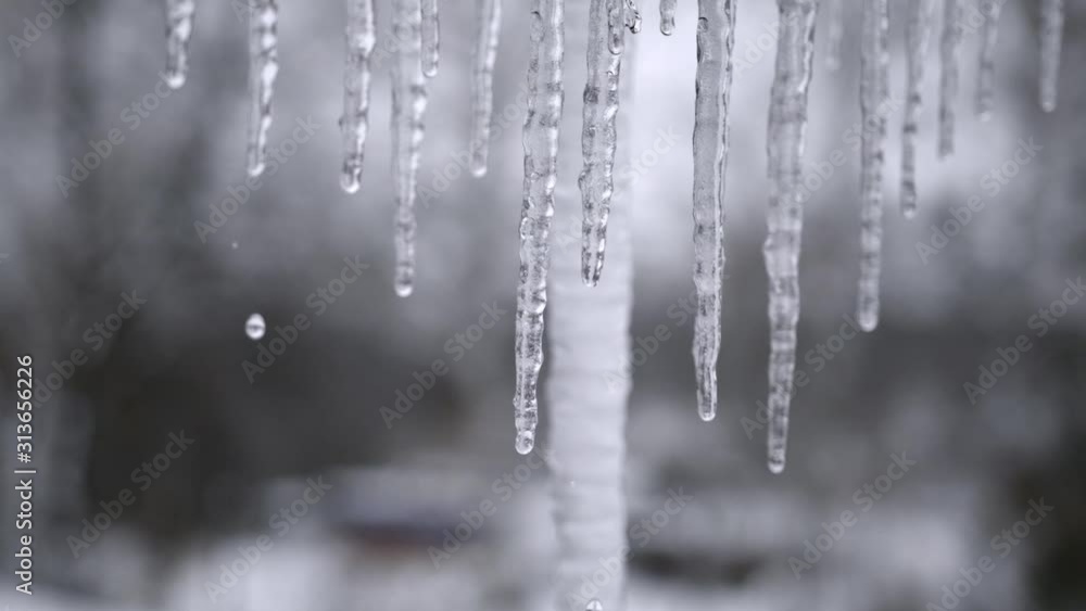 Beautiful dripping icicles on a warm bright sunny day. Beautiful dripping icicles on a warm bright sunny day.