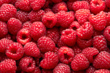 Raspberries. Fresh juicy raspberries bright background.