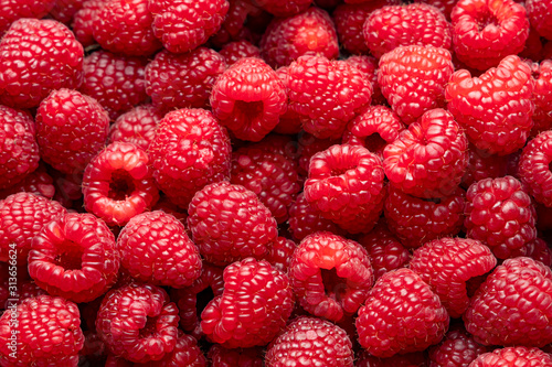 Tela Raspberries. Fresh juicy raspberries bright background.
