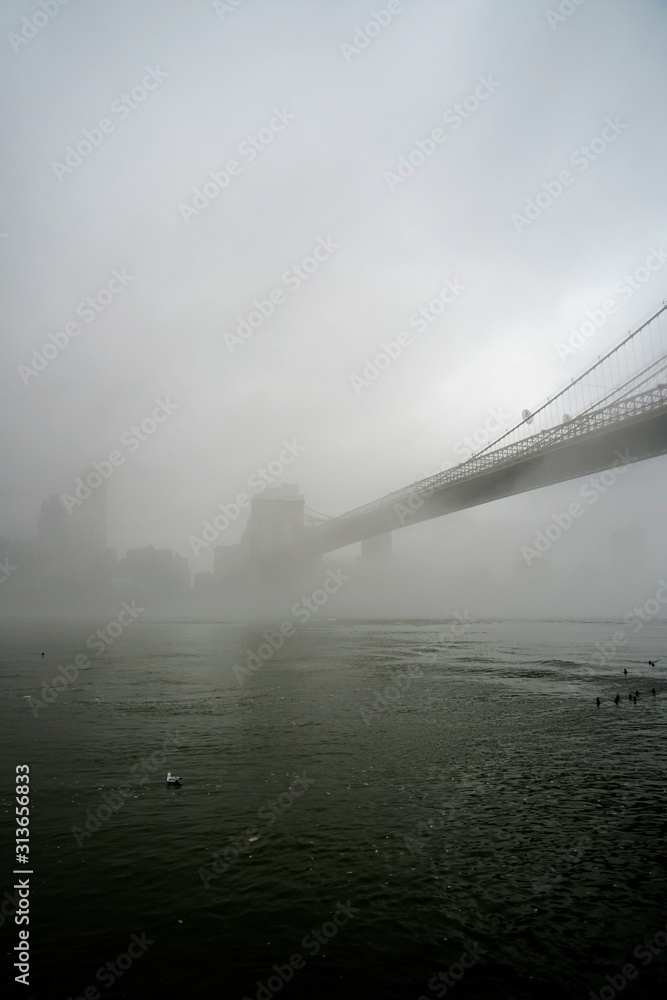Fototapeta premium Manhattan Bridge and Skyline