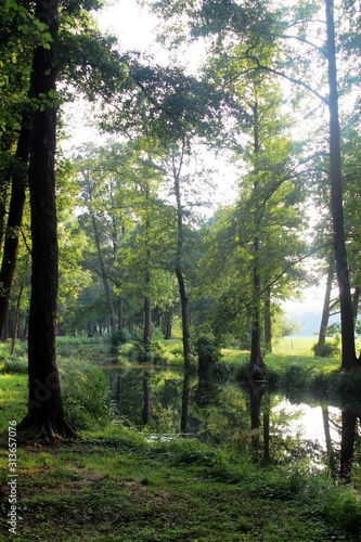 Naturerlebnis im Spreewald  Wasserwege in ruhiger Natur  Brandenburg