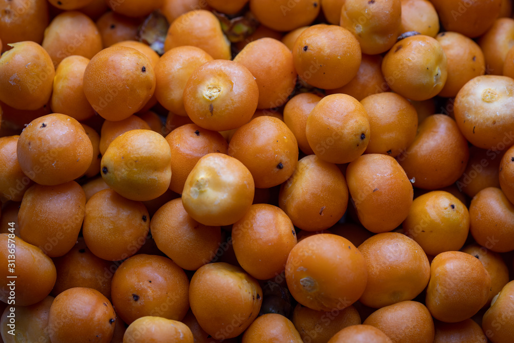 Fruit tree typical of southern Brazil butia