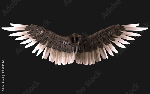 3d Illustration Sphinx Wings, Black Wing Plumage Isolated on Dark Background