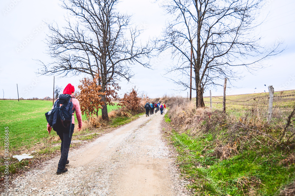 Obraz premium Hiking Group Of People Walking In Nature
