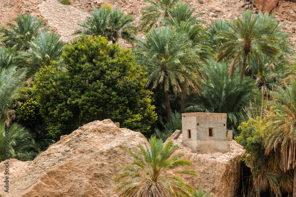 Beautiful Wadi Tiwi Oasis, Oman