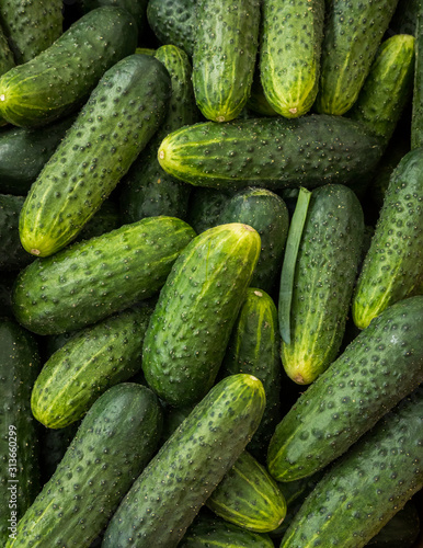 Close up of cucumber photo