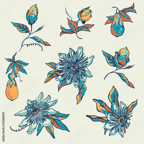 Vintage blue floral natural collection. Passiflora greeting card