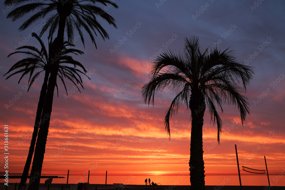 Colourfiul sunrise in pink and purple in Barcelona Spain, with silhouettes of palm trees and people standing by the sea