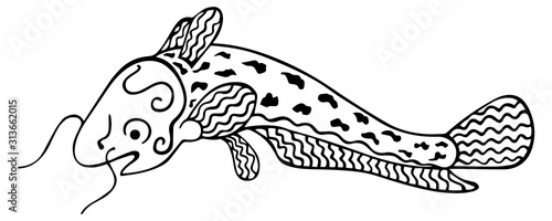 Black and white catfish. Freshwater, scaleless fish for antistress coloring book and tattoo. Hand-drawn isolated zodiac doodle. Vector. photo