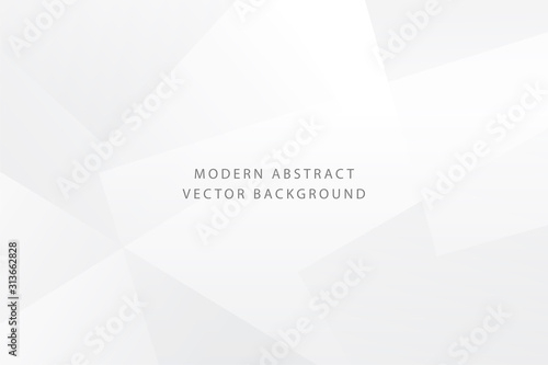White and Grey abstract modern transparency presentation background