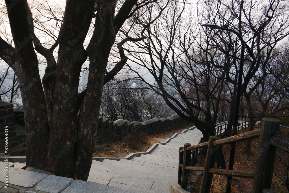stone pathway along the old ancient wall to Namsan Tower, Seoul, South Korea, Asia	