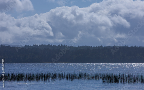 Lake Paringa New Zealand photo