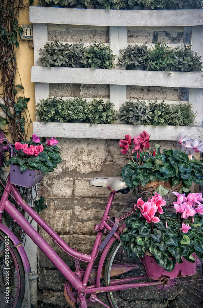 Vintage pink bike in the street
