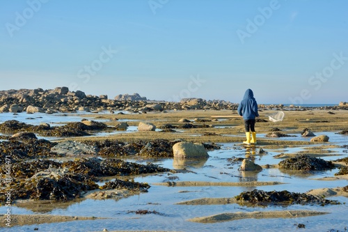 Fotografie, Obraz A young boy who is fishing at low tide in Brittany. France