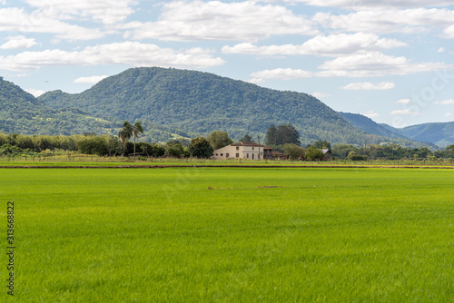 The Italian house and the rice floodplain