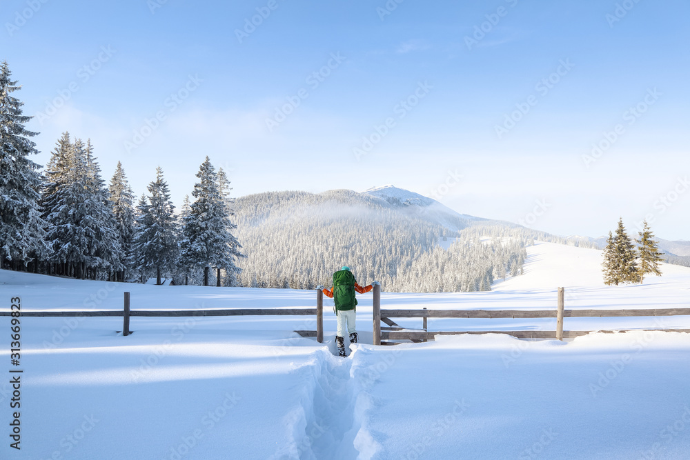 Winter scenery. Among the meadow covered with snow, goes a girl to the wooden fence overlooking the high mountains with snowy white peaks, trees in snowdrift and the blue sky.