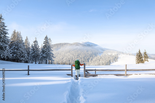 Winter scenery. Among the meadow covered with snow  goes a girl to the wooden fence overlooking the high mountains with snowy white peaks  trees in snowdrift and the blue sky.