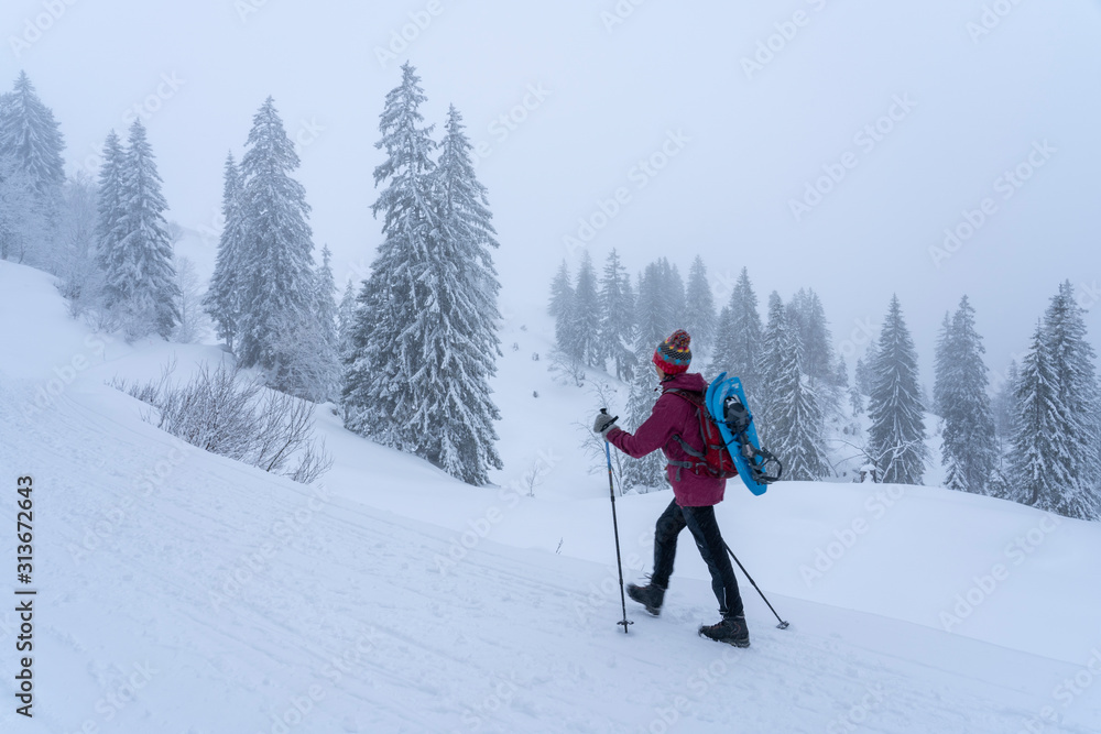 nice senior woman snowshoeing on the Nagelfluh chain in 