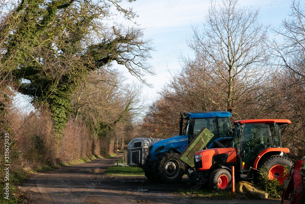 country lane with agricultural tractor and hedgreow with oak tree country lane with agricultural tractor and hedgreow with oak tree
