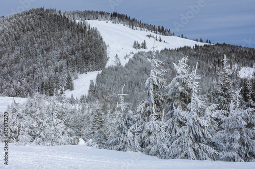 Fototapeta Naklejka Na Ścianę i Meble -  Beskid Zywiecki. Winter in Poland. Captured during trekking on the way to Rysianka, near Zabnica village. Snowy Winter Mountains.