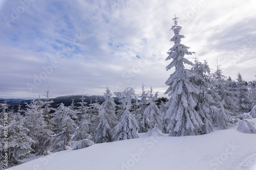 Fototapeta Naklejka Na Ścianę i Meble -  Beskid Zywiecki. Winter in Poland. Captured during trekking on the way to Rysianka, near Zabnica village. Snowy Winter Mountains.