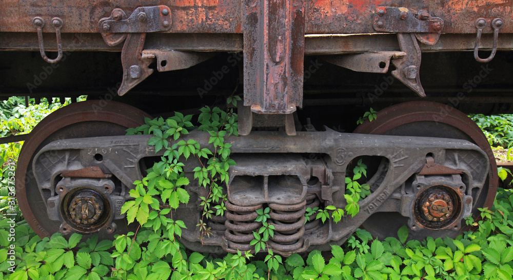 An old lifeless railway overgrown with a creeping vineyard. Rusty railway cart and wagon on railway tracks overgrown with grass, vineyard and trees. Railway oblivion time