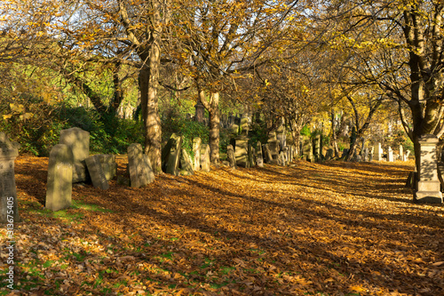 Old Tombstones on the sunny autumn day of the old Victorian cemetery Necropolis in United Kingdom. Religion and death theme. 